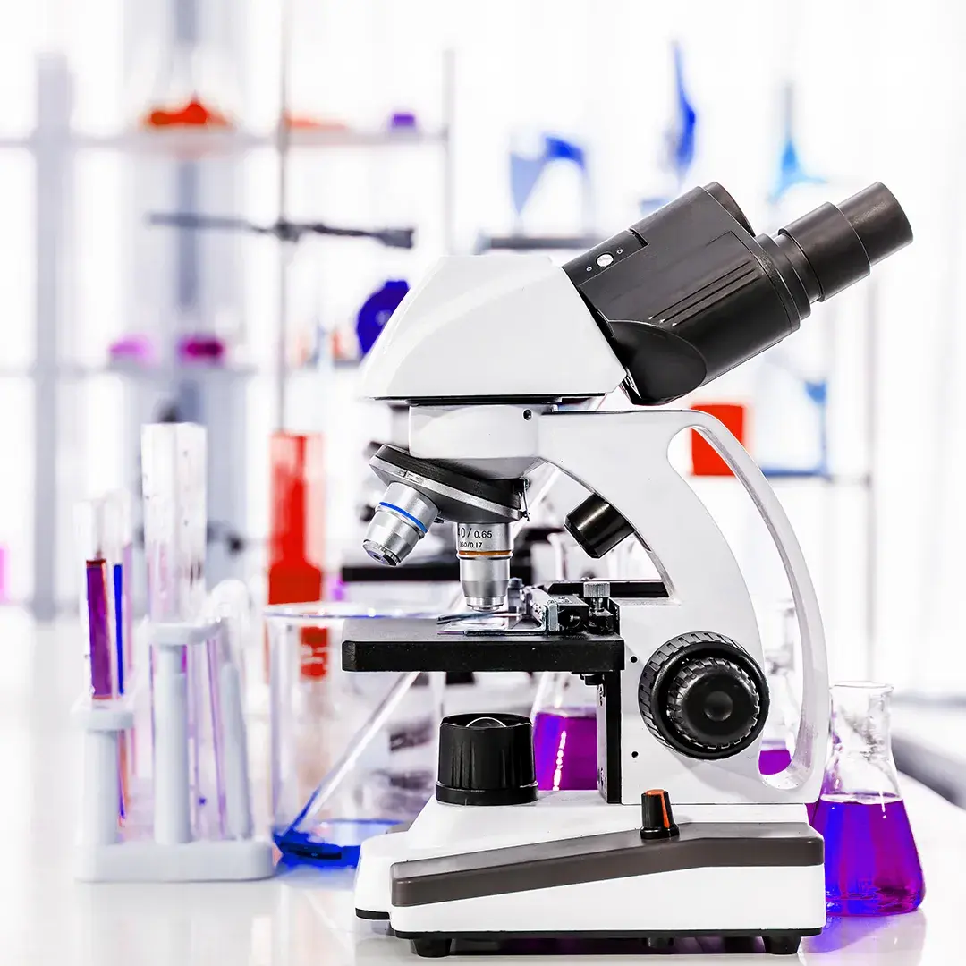 Establishing-Excellence